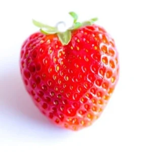 Strawberry Powder 2:1